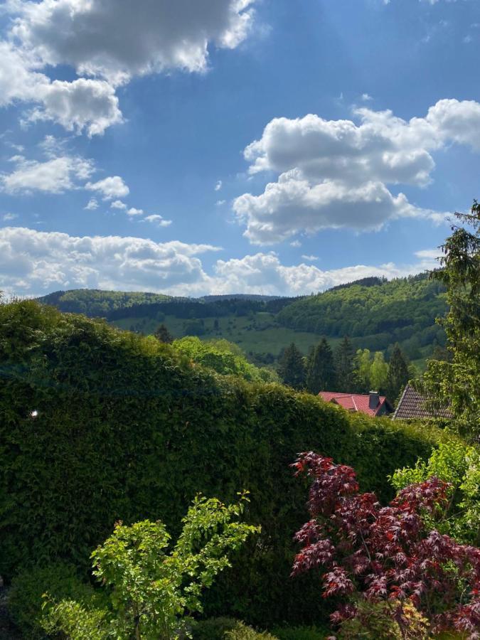 Hills Hut Villa Лангелсхайм Екстериор снимка