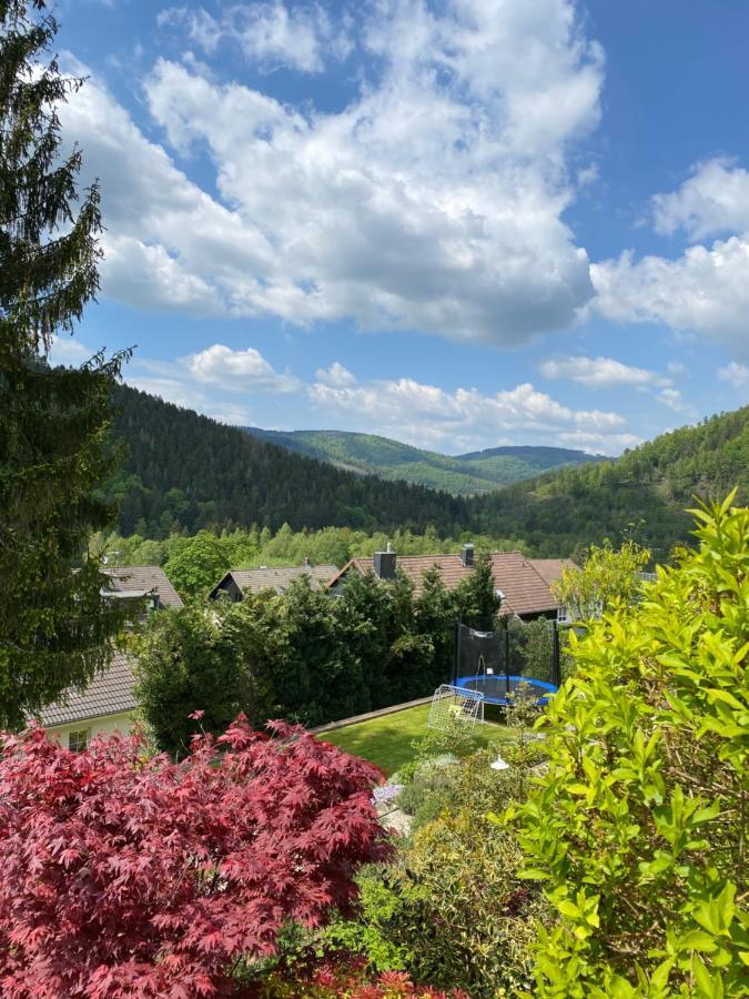 Hills Hut Villa Лангелсхайм Екстериор снимка